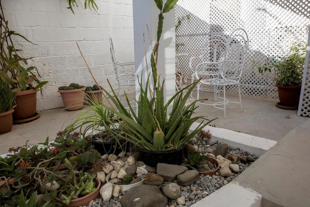 Templar Guesthouse Famagusta  Bagian luar foto
